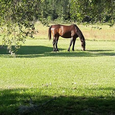 Kokomo Farms لايف أوك المظهر الخارجي الصورة