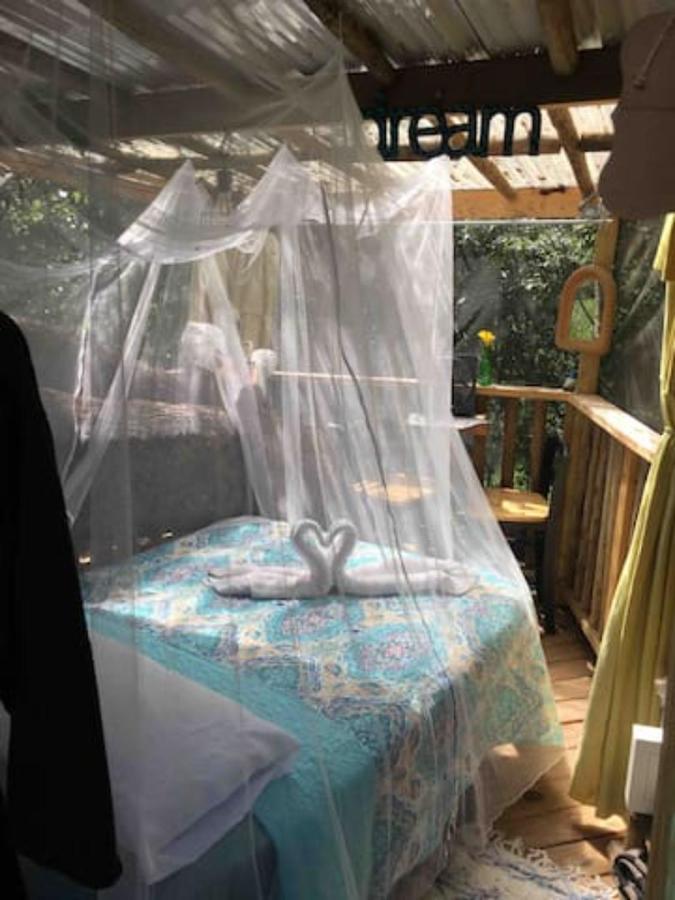 Kokomo Farms لايف أوك المظهر الخارجي الصورة